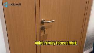 Privacy-Focused Office Partition | Framed Glass + Solid Wooden Door Design