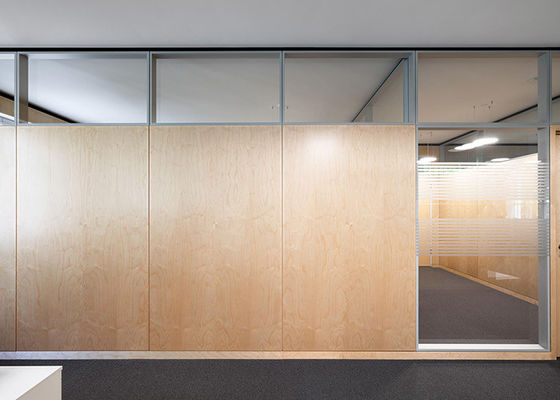 Cutsomized Solid Glass Partition Wall System Steel Melamine HPL With Door